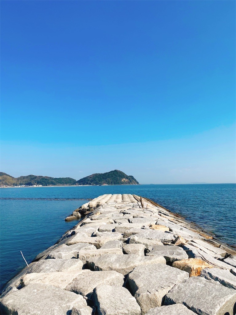 f:id:cutie_blue:20210202171958j:image f:id:cutie_blue:20210202171958j:image