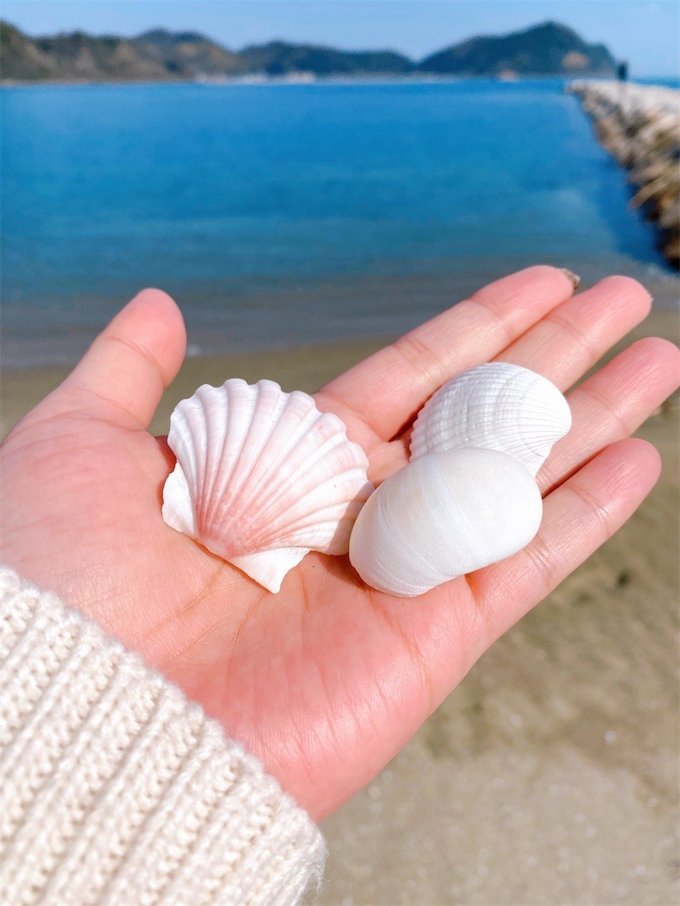 f:id:cutie_blue:20210202172023j:image f:id:cutie_blue:20210202172023j:image