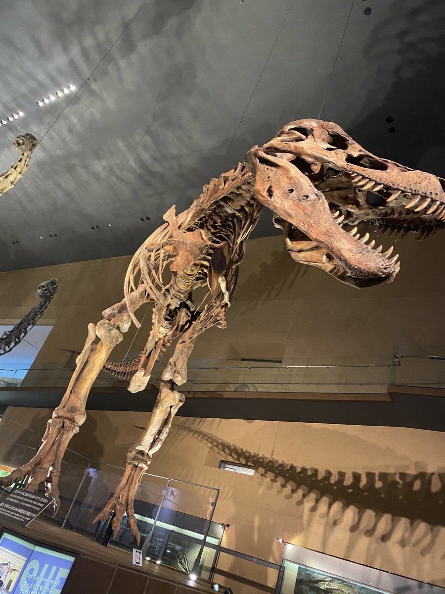 f:id:cutie_blue:20210219144119j:plain