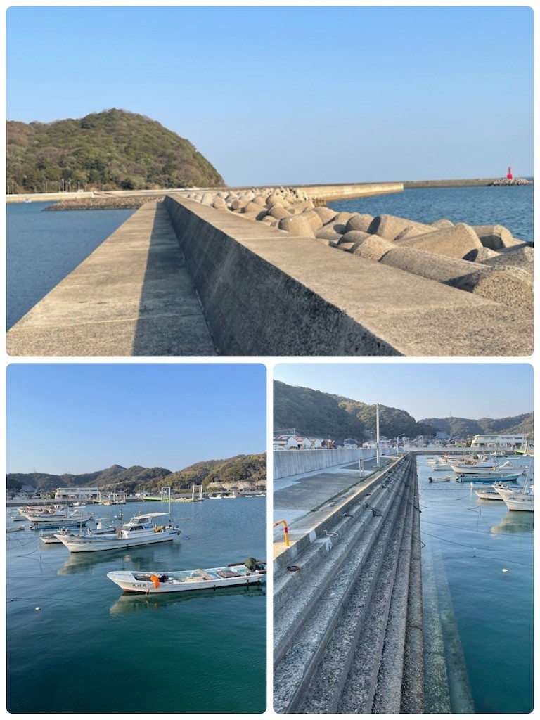 f:id:cutie_blue:20210222120326j:image f:id:cutie_blue:20210222120326j:image