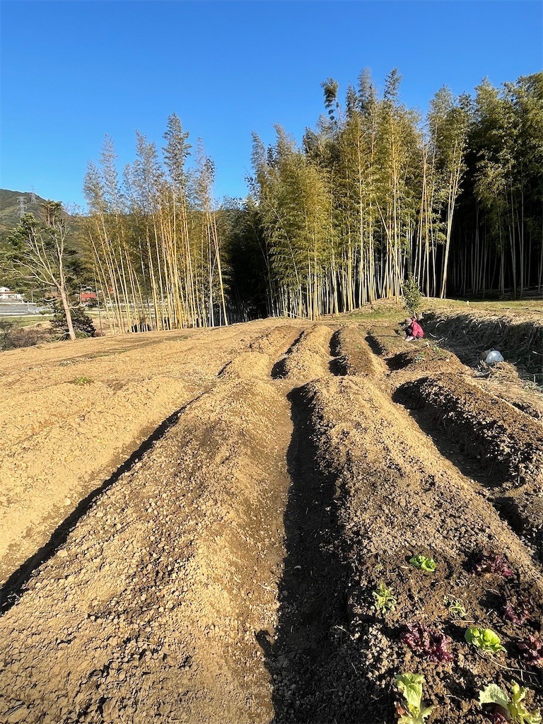 f:id:cutie_blue:20210222121010j:image f:id:cutie_blue:20210222121010j:image