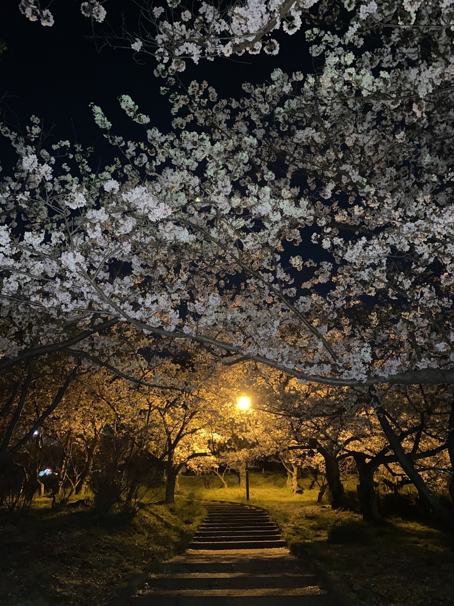 f:id:cutie_blue:20210402143246j:plain