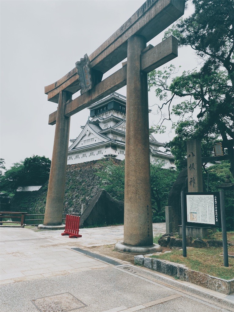 f:id:cutie_blue:20210601165949j:image f:id:cutie_blue:20210601165949j:image