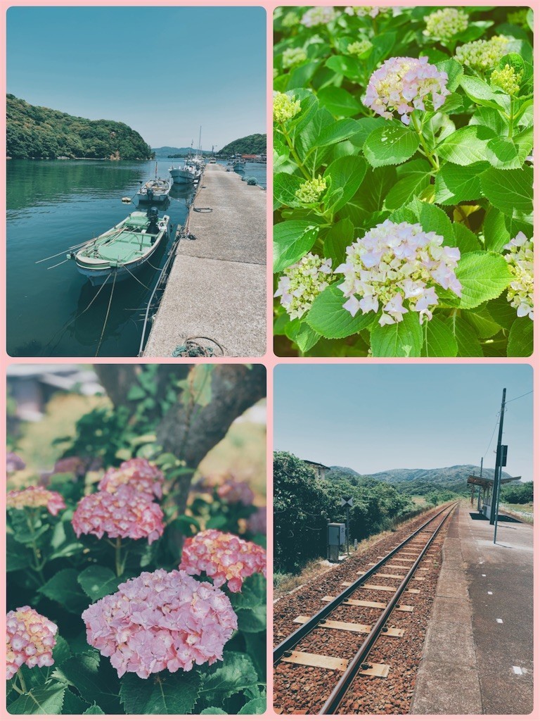 f:id:cutie_blue:20210601171054j:image f:id:cutie_blue:20210601171054j:image