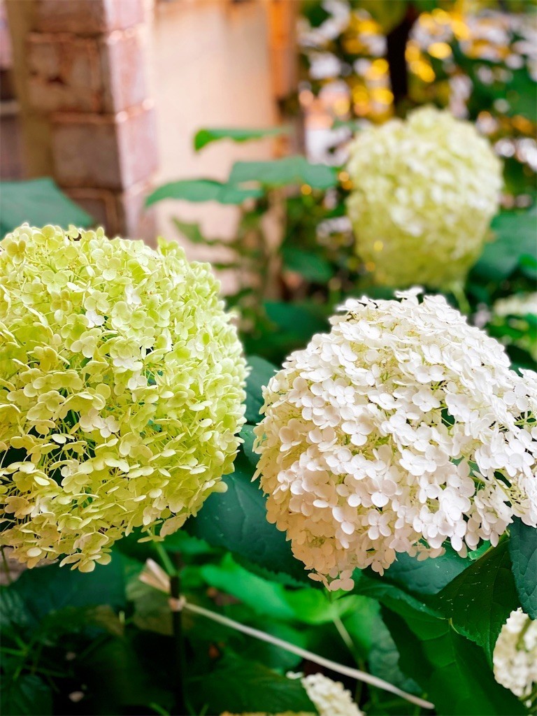 f:id:cutie_blue:20210615172921j:image f:id:cutie_blue:20210615172921j:image