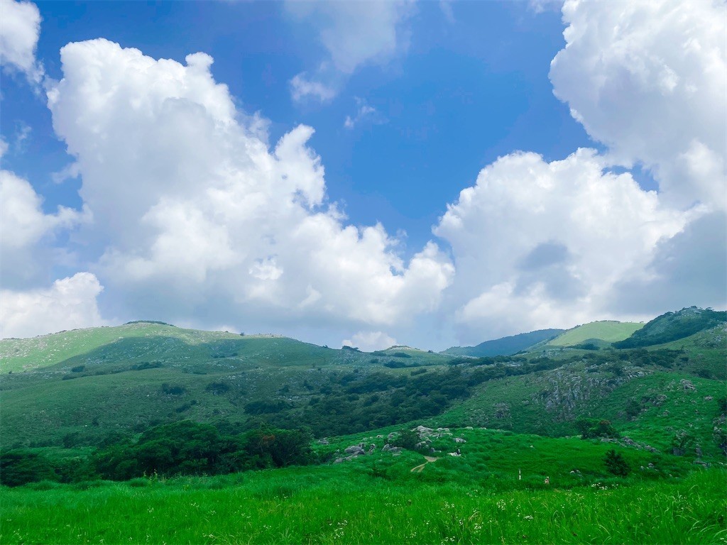 f:id:cutie_blue:20210629161936j:image f:id:cutie_blue:20210629161936j:image