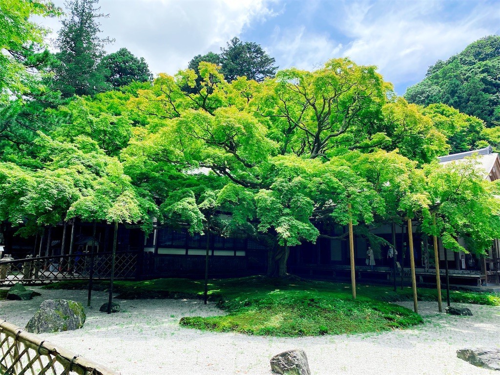 f:id:cutie_blue:20210706173824j:image f:id:cutie_blue:20210706173824j:image