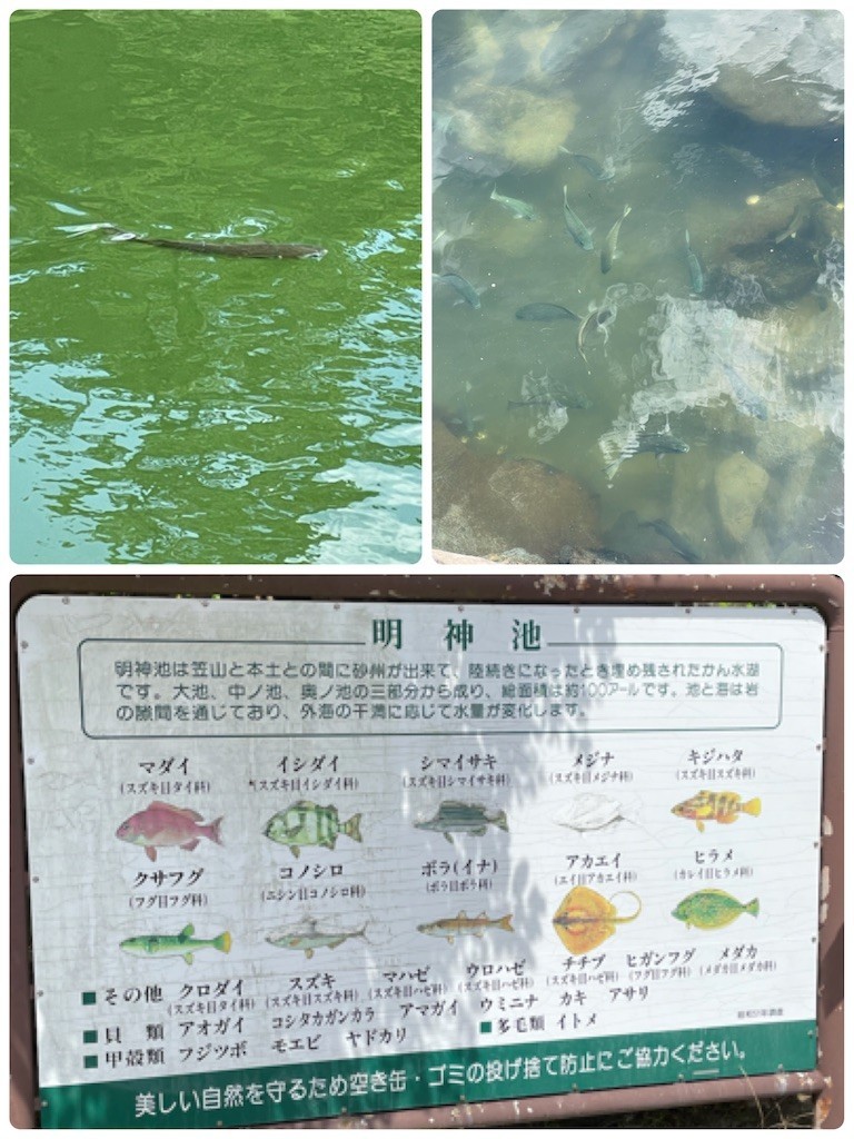 f:id:cutie_blue:20210726095408j:image