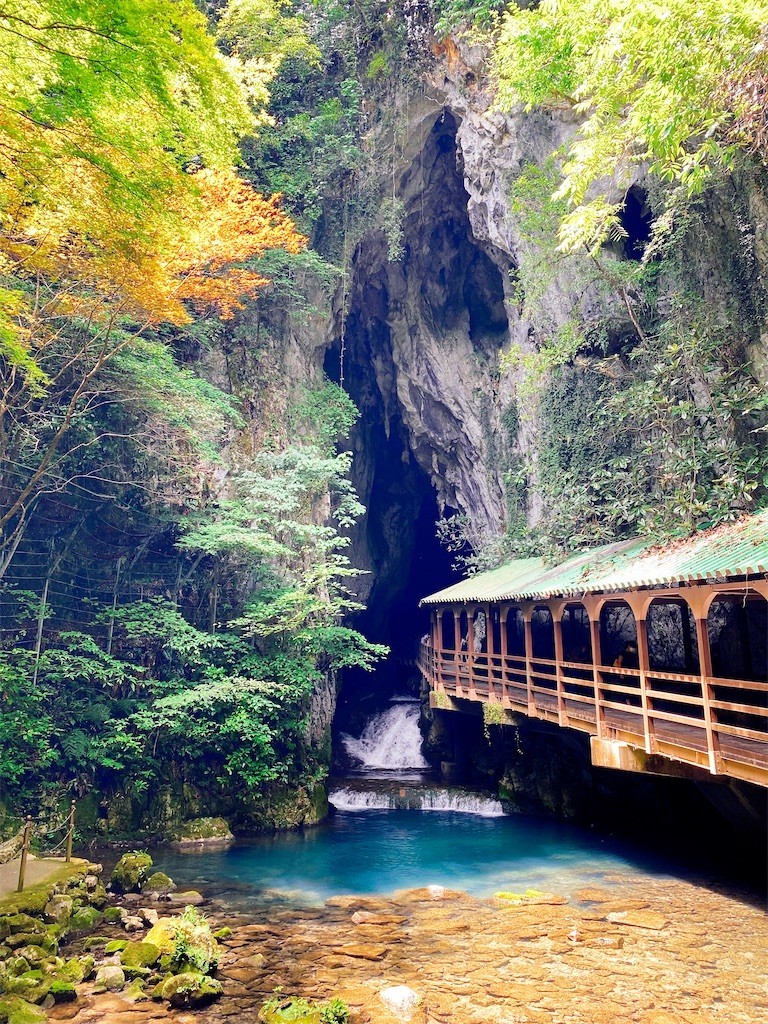 f:id:cutie_blue:20210727152555j:image f:id:cutie_blue:20210727152555j:image