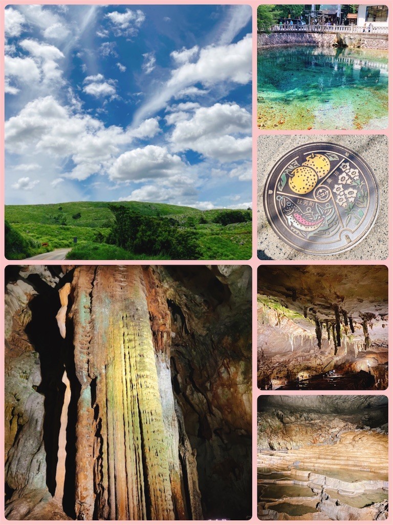 f:id:cutie_blue:20210727152727j:image f:id:cutie_blue:20210727152727j:image