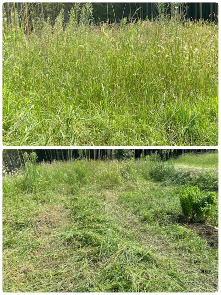 f:id:cutie_blue:20210906155059j:image f:id:cutie_blue:20210906155059j:image