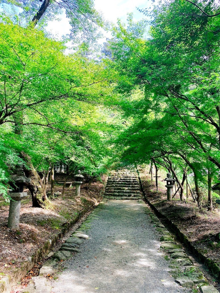 f:id:cutie_blue:20210907154135j:image