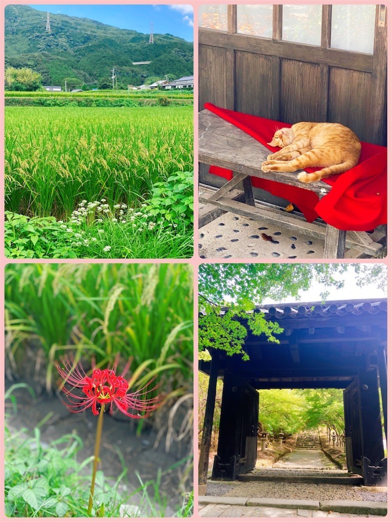 f:id:cutie_blue:20210907154240j:image