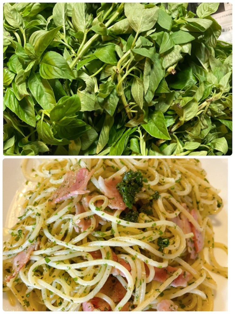 f:id:cutie_blue:20210913155834j:image f:id:cutie_blue:20210913155834j:image