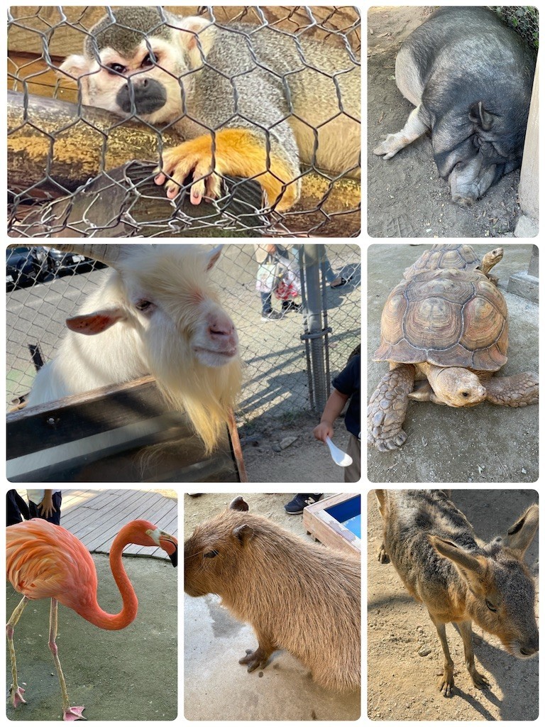 f:id:cutie_blue:20211004151515j:image