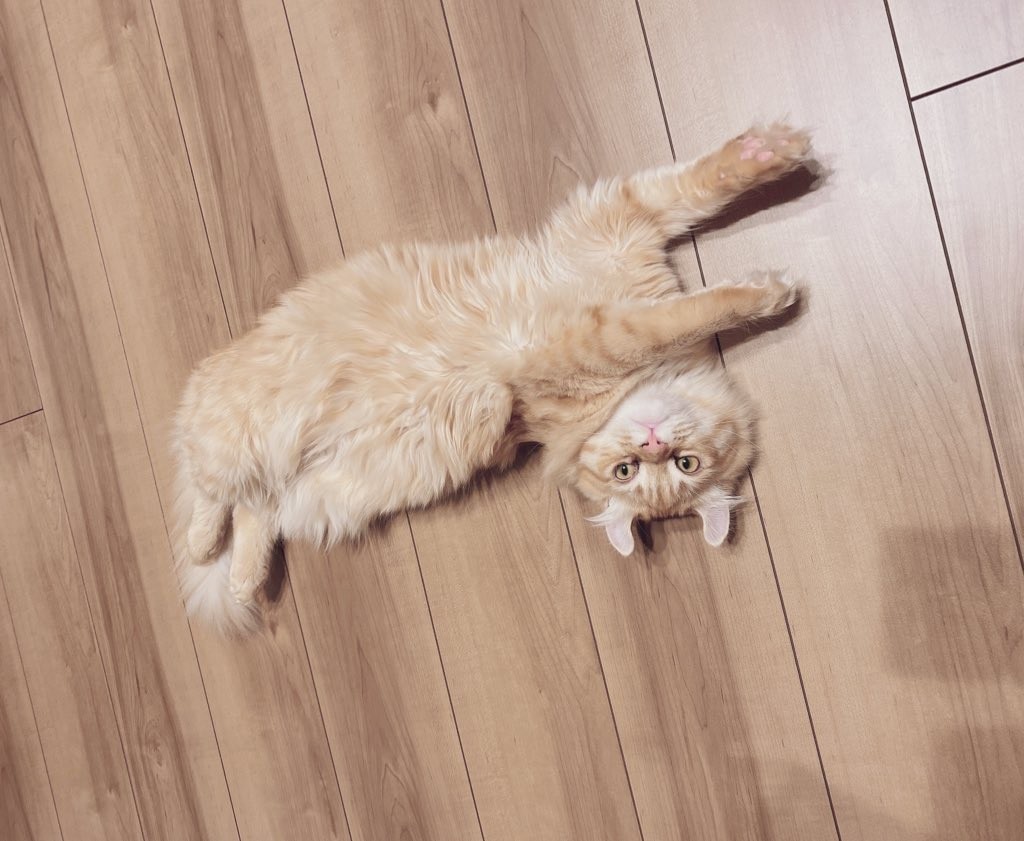 f:id:cutie_blue:20211020171543j:plain