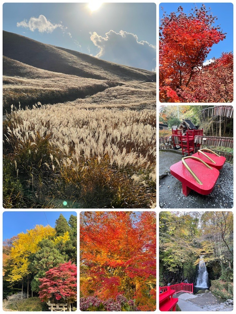 f:id:cutie_blue:20211115134750j:image f:id:cutie_blue:20211115134750j:image