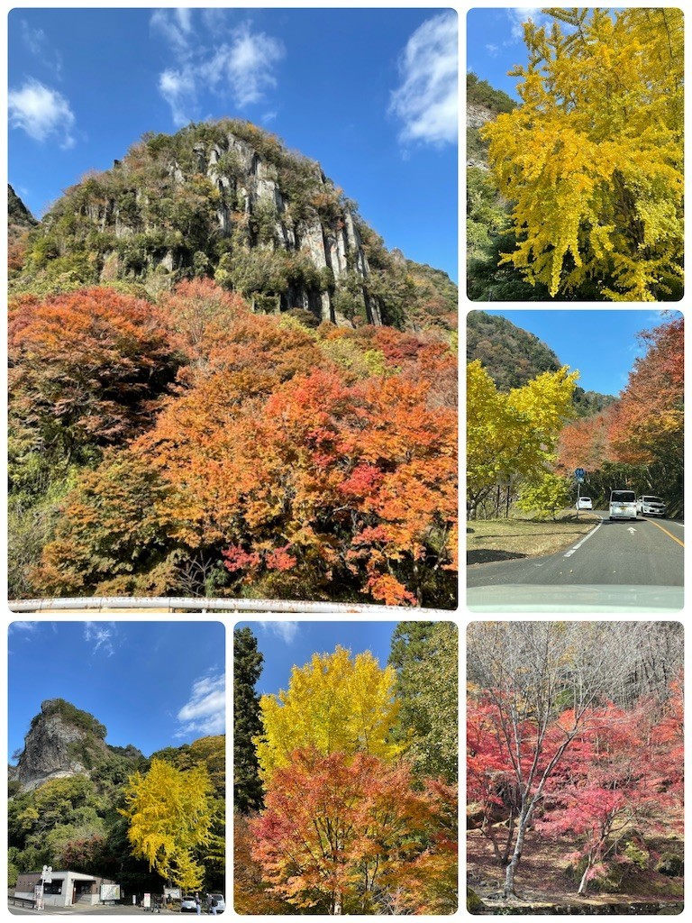 f:id:cutie_blue:20211115135431j:image f:id:cutie_blue:20211115135431j:image