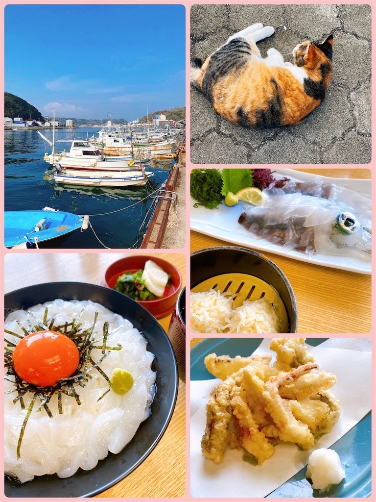 f:id:cutie_blue:20220111120143j:image f:id:cutie_blue:20220111120143j:image