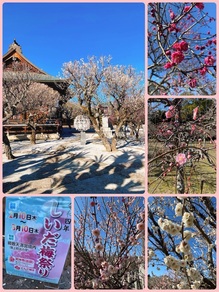 f:id:cutie_blue:20220301173235j:image f:id:cutie_blue:20220301173235j:image