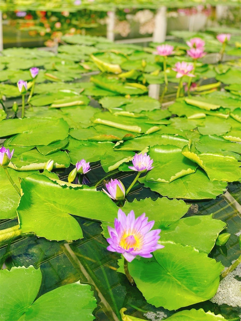 f:id:cutie_blue:20220301173556j:image f:id:cutie_blue:20220301173556j:image