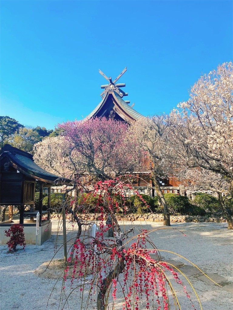 f:id:cutie_blue:20220308122614j:image f:id:cutie_blue:20220308122614j:image