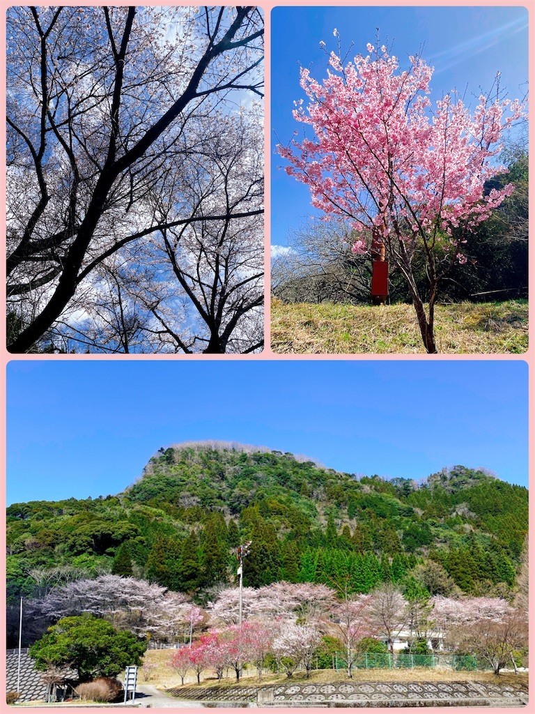 f:id:cutie_blue:20220329111610j:image f:id:cutie_blue:20220329111610j:image