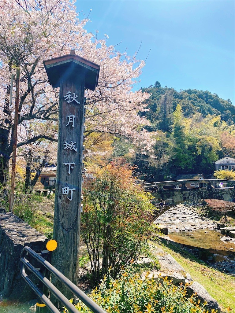 f:id:cutie_blue:20220405110646j:image f:id:cutie_blue:20220405110646j:image