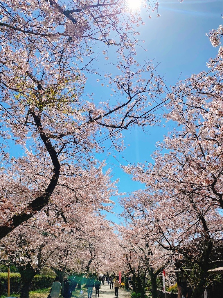 f:id:cutie_blue:20220405111615j:image f:id:cutie_blue:20220405111615j:image