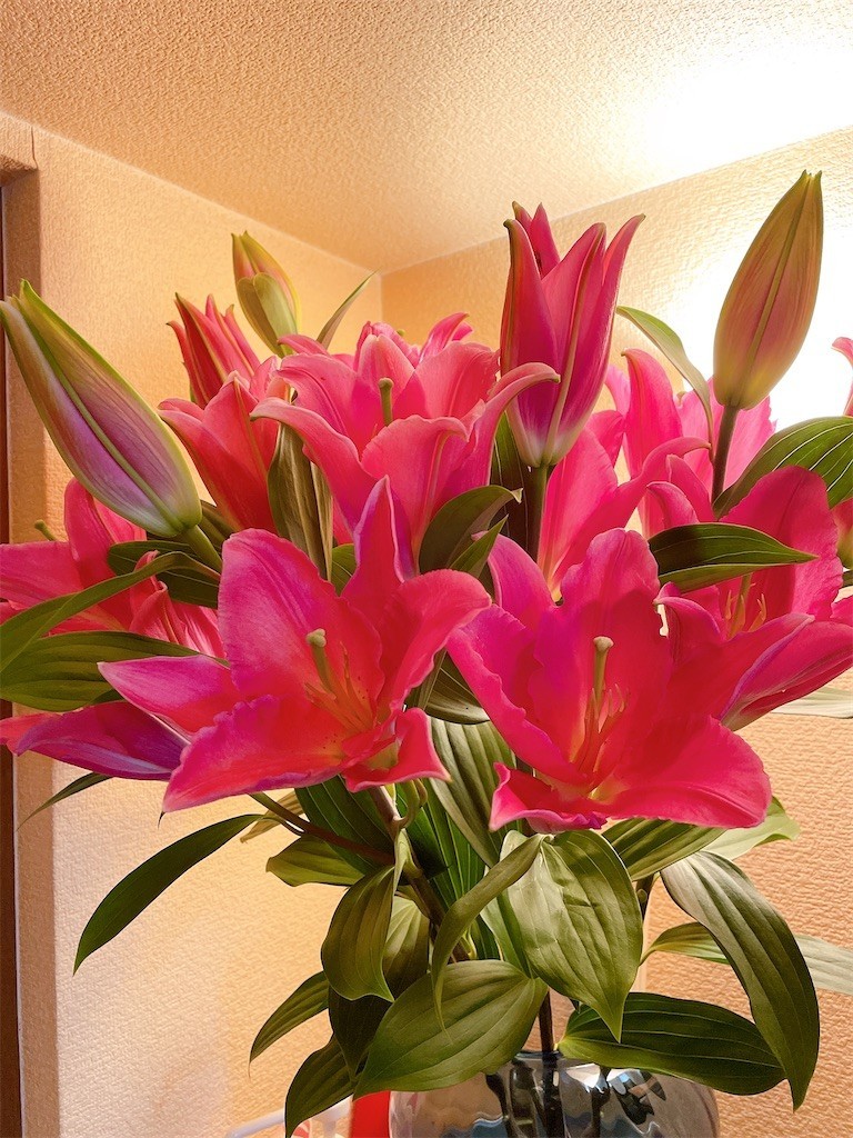 f:id:cutie_blue:20220509103903j:image f:id:cutie_blue:20220509103903j:image