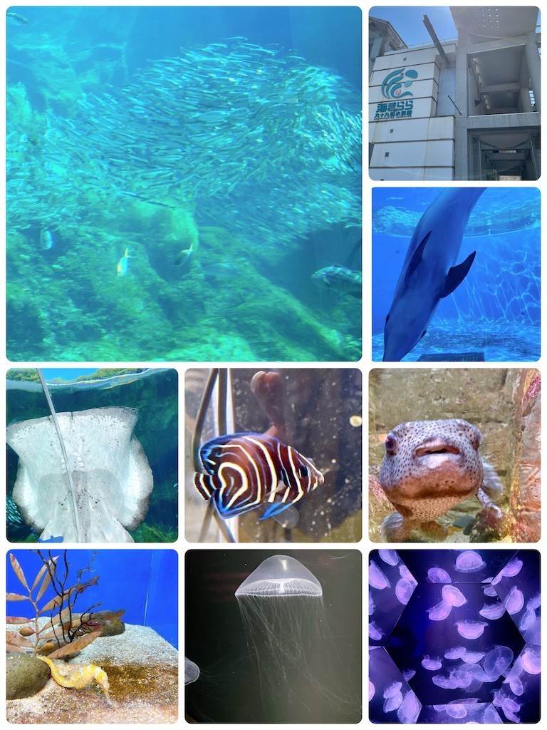 f:id:cutie_blue:20220509104532j:image f:id:cutie_blue:20220509104532j:image