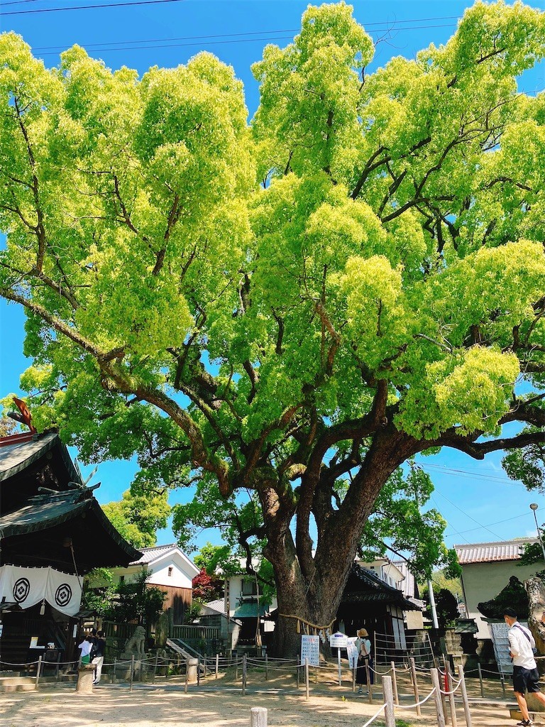 f:id:cutie_blue:20220510111154j:image f:id:cutie_blue:20220510111154j:image