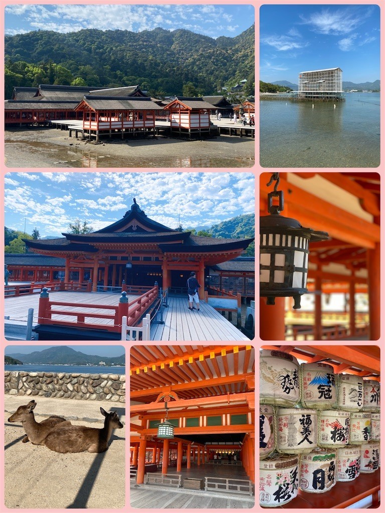 f:id:cutie_blue:20220510112634j:image f:id:cutie_blue:20220510112634j:image