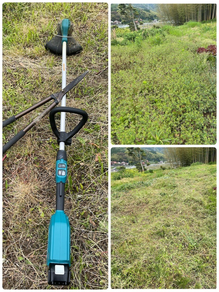 f:id:cutie_blue:20220516120139j:image f:id:cutie_blue:20220516120139j:image