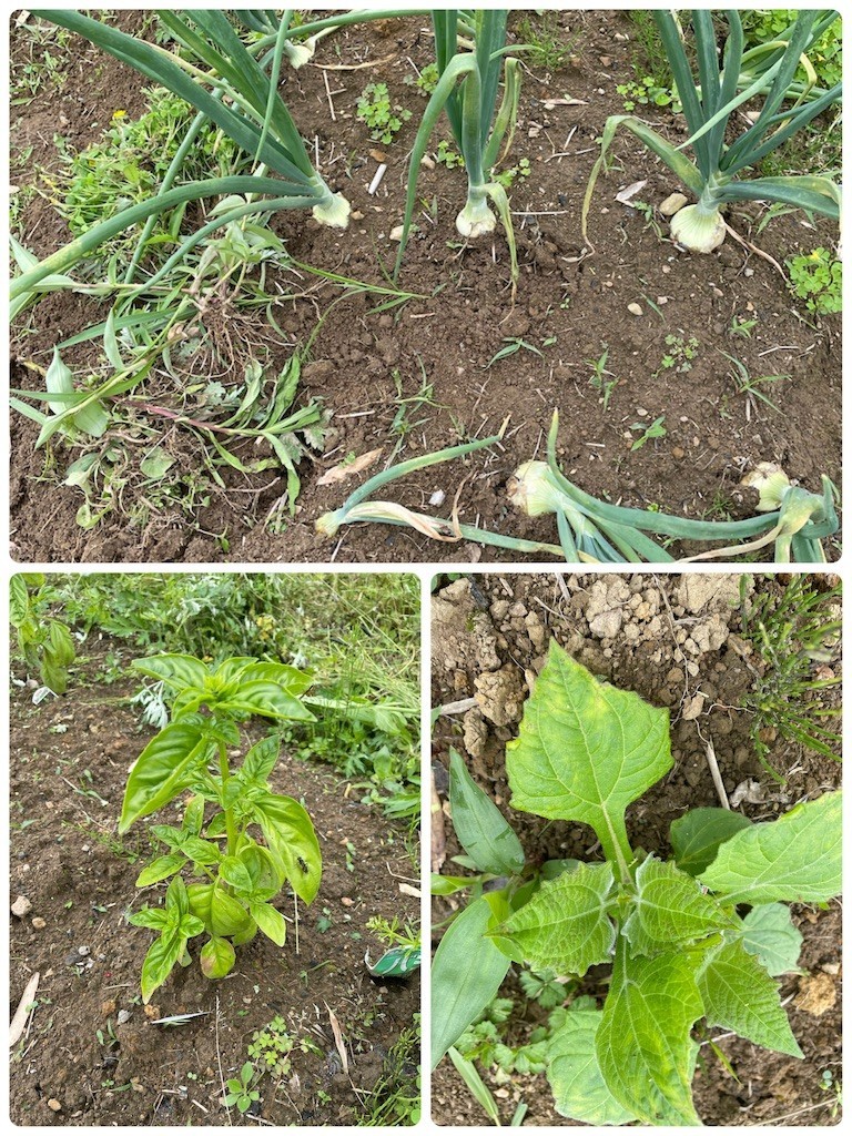 f:id:cutie_blue:20220516120253j:image f:id:cutie_blue:20220516120253j:image