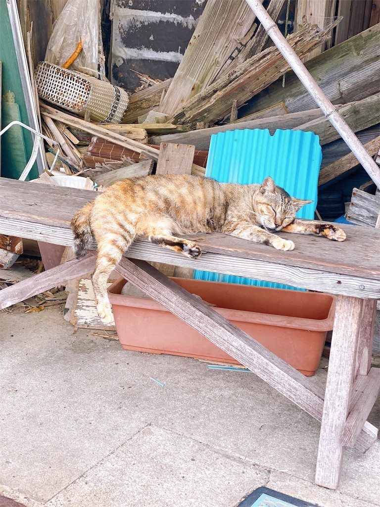 f:id:cutie_blue:20220802110457j:image f:id:cutie_blue:20220802110457j:image