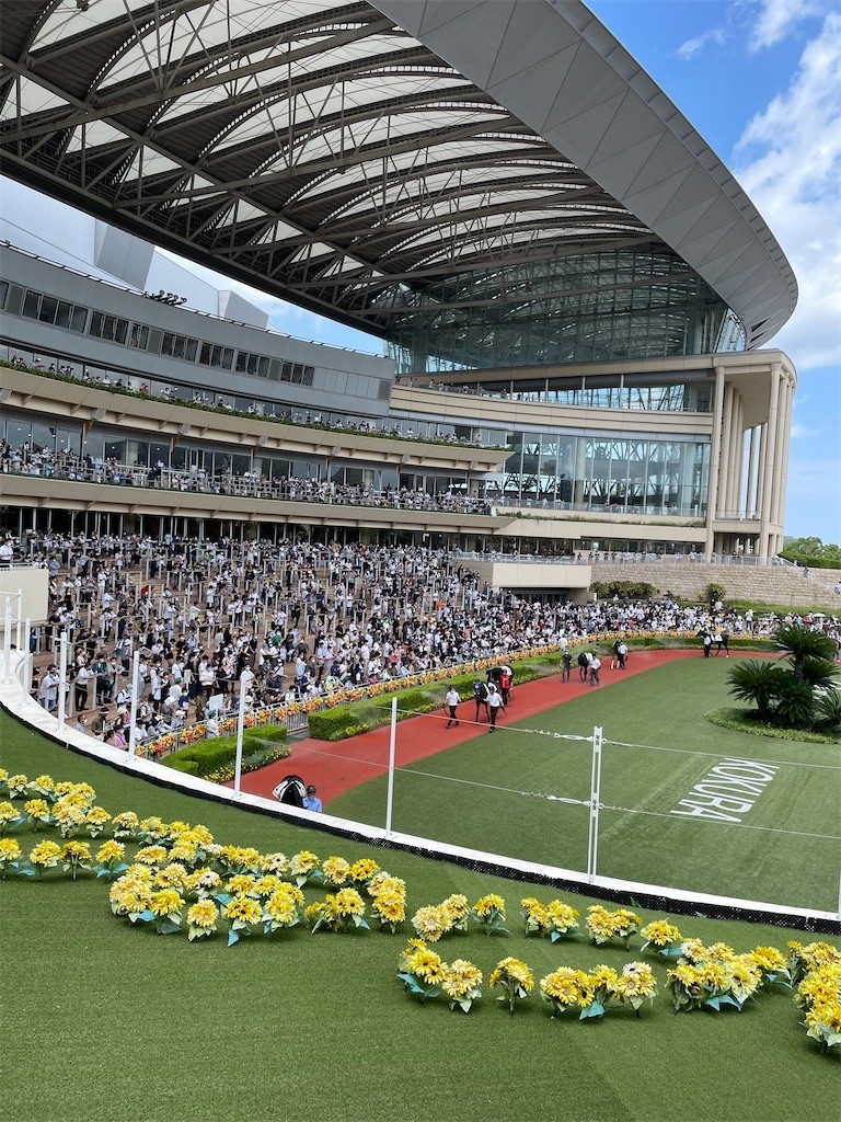 f:id:cutie_blue:20220815190533j:image f:id:cutie_blue:20220815190533j:image