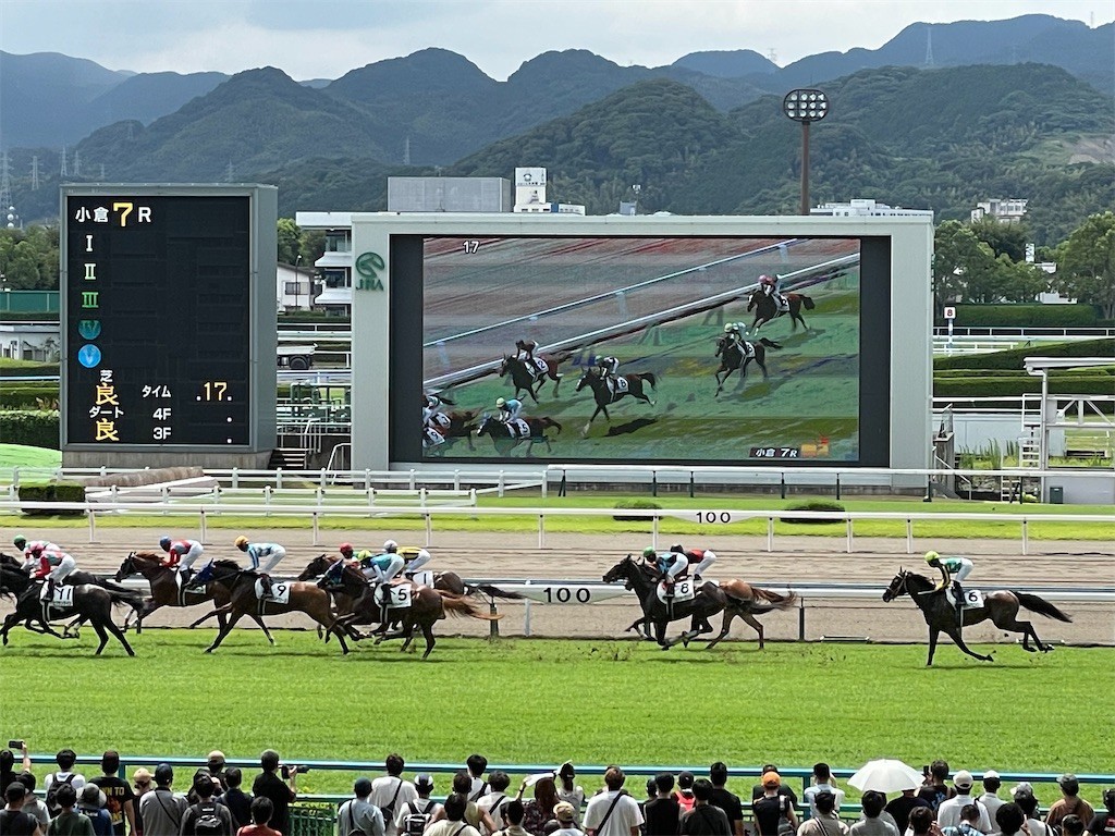 f:id:cutie_blue:20220815190540j:image f:id:cutie_blue:20220815190540j:image