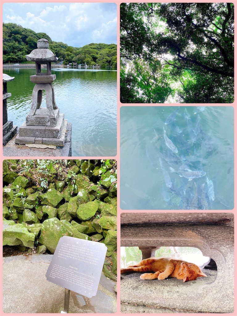 f:id:cutie_blue:20220816191215j:image