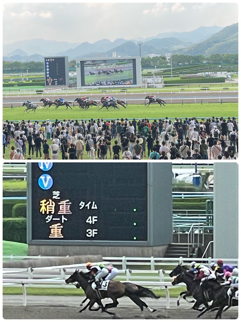 f:id:cutie_blue:20220822132532j:image f:id:cutie_blue:20220822132532j:image