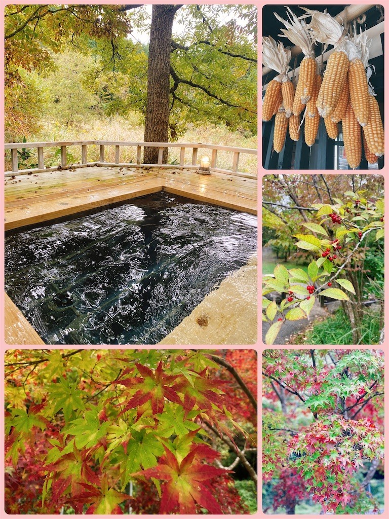 f:id:cutie_blue:20221025114408j:image f:id:cutie_blue:20221025114408j:image