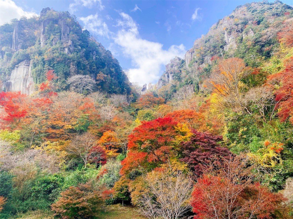 f:id:cutie_blue:20221115120736j:image f:id:cutie_blue:20221115120736j:image