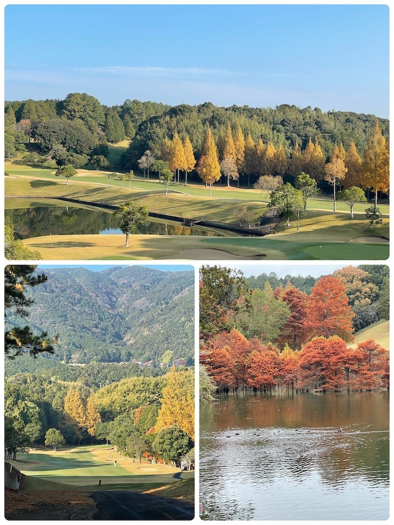 f:id:cutie_blue:20221121085504j:image