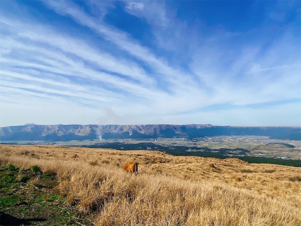 f:id:cutie_blue:20221129112857j:image