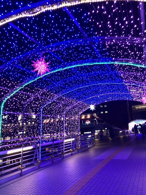f:id:cutie_blue:20221202200512j:image