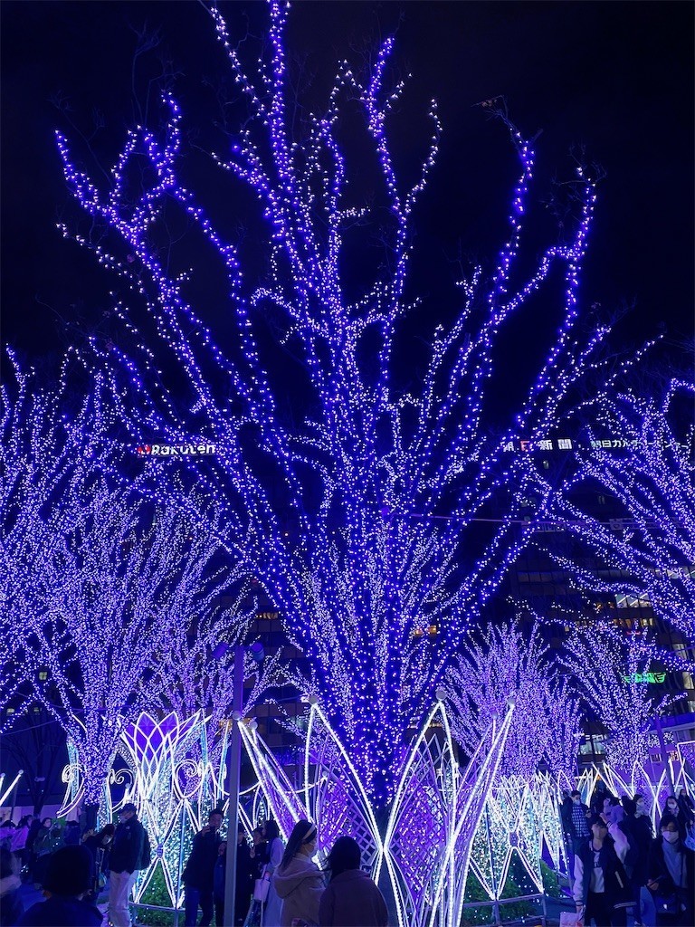 f:id:cutie_blue:20221220142415j:image