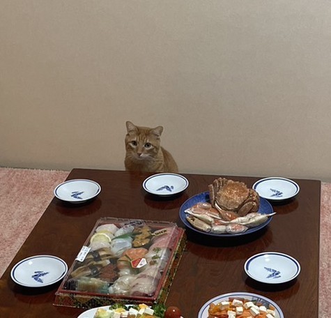 f:id:cutie_blue:20230104174018j:image