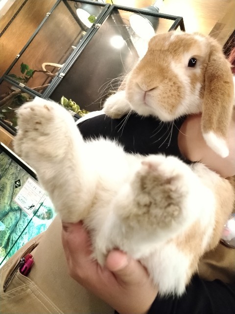 f:id:cutie_blue:20230106192216j:image f:id:cutie_blue:20230106192216j:image