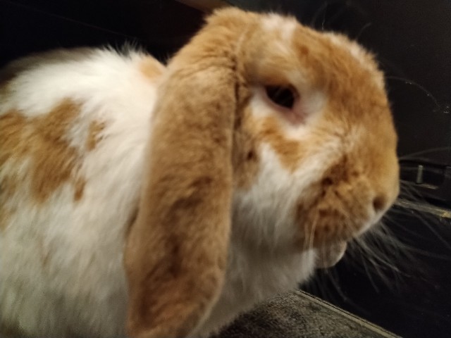 f:id:cutie_blue:20230106192318j:image f:id:cutie_blue:20230106192318j:image