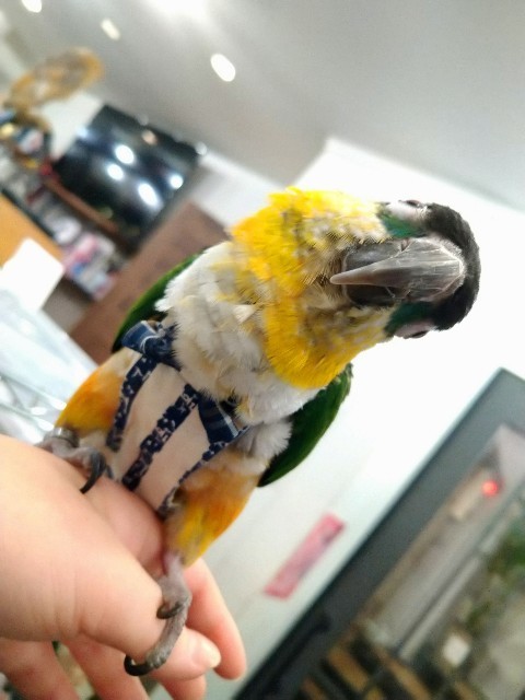 f:id:cutie_blue:20230106192710j:image f:id:cutie_blue:20230106192710j:image